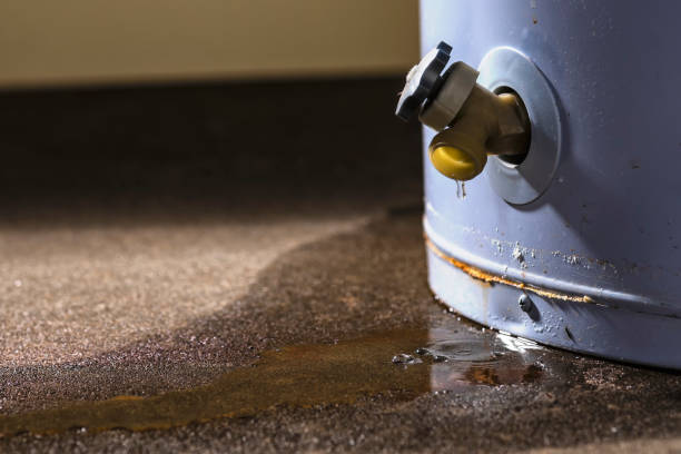 Best Water damage contractors near me  in Crawfordsville, IN