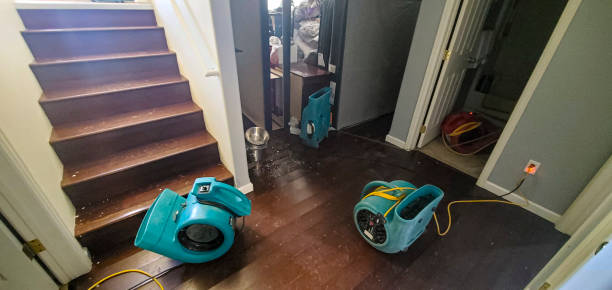 Best Water damage restoration near me  in Crawfordsville, IN