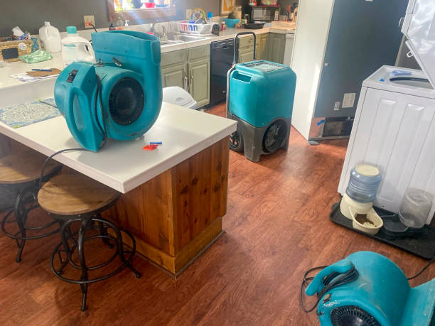 Best Flooded house restoration  in Crawfordsville, IN