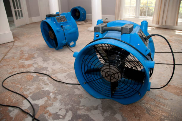 Best Flood damage cleanup  in Crawfordsville, IN