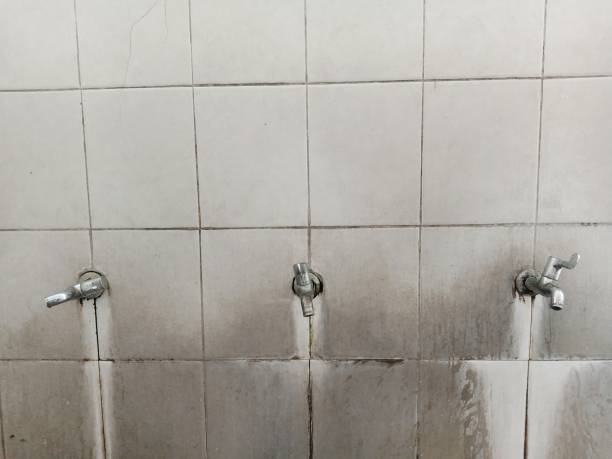 Trusted IN Water damage restoration Experts