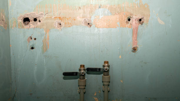 Best Mold removal after water damage  in Crawfordsville, IN